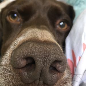 Meet your Posher, Karra